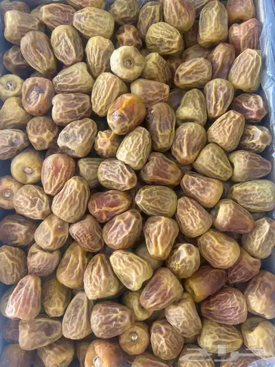 سكري مفتل 1