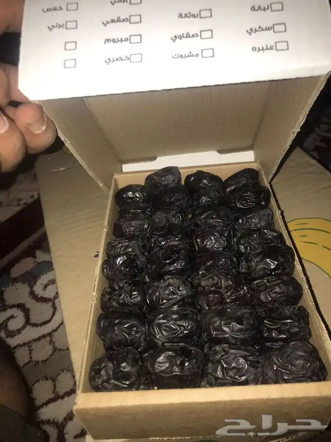 عجوة المدينه 9