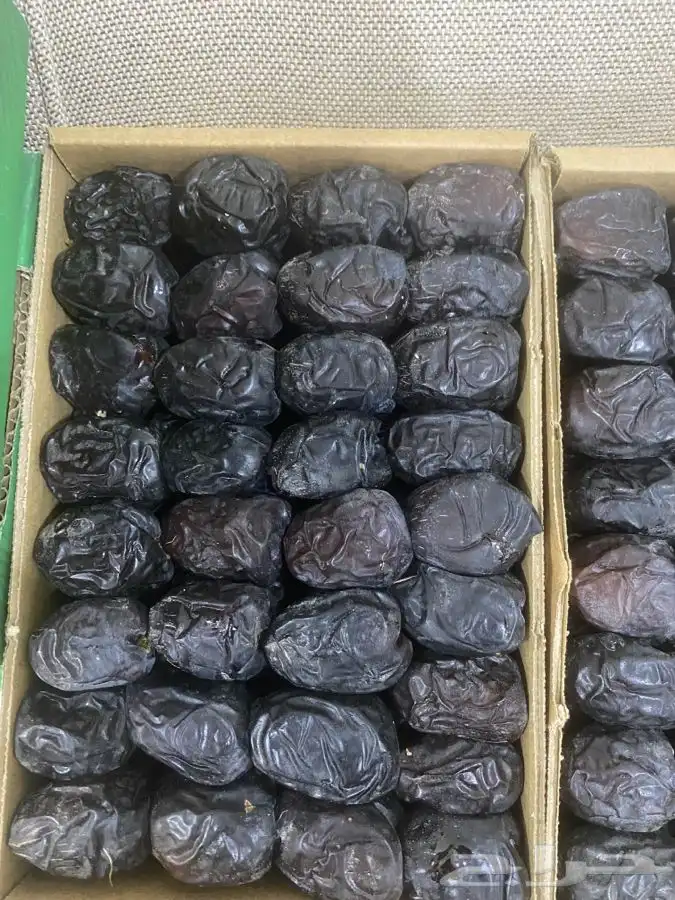 عجوة المدينه 5