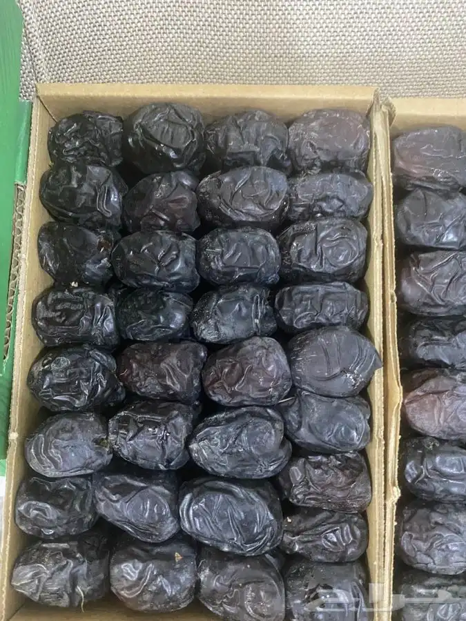 عجوة المدينه 1