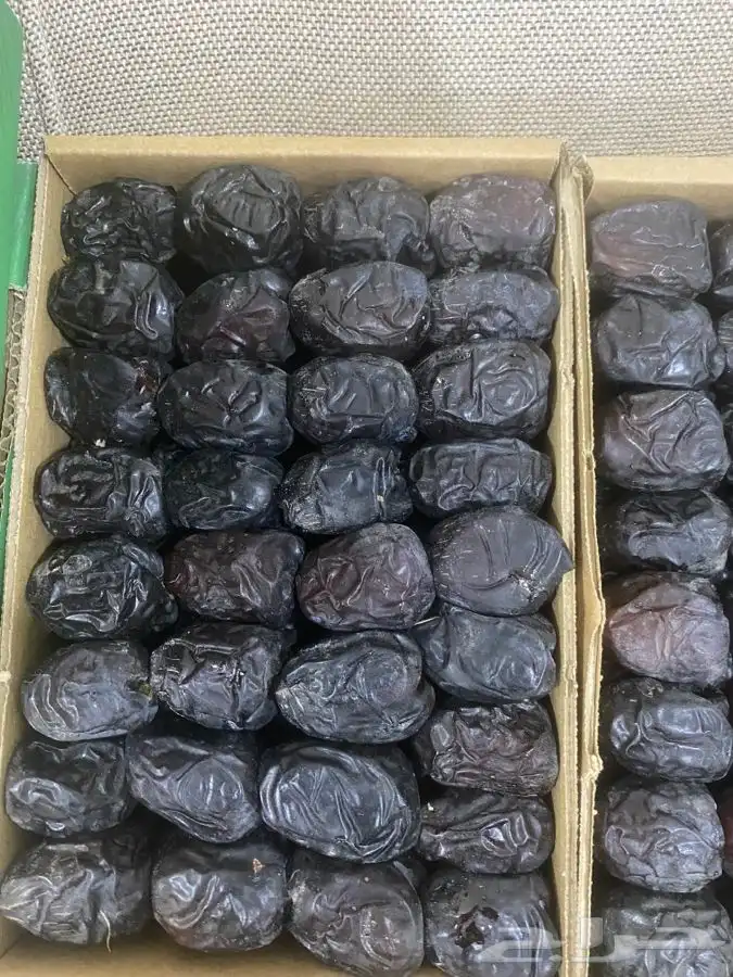 عجوة المدينه 3