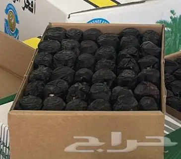 عجوة المدينه 16