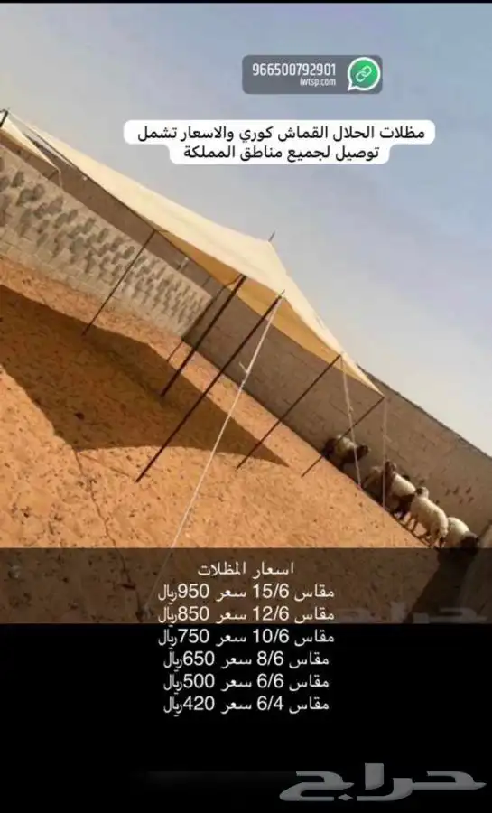 للبيع خيام وبيوت شعر وكراسي ومجالس ومظلات حلال وكل الوازم 11