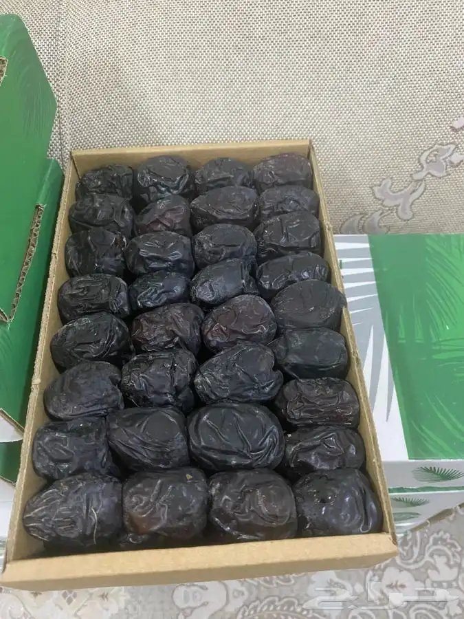 عجوة المدينه 15