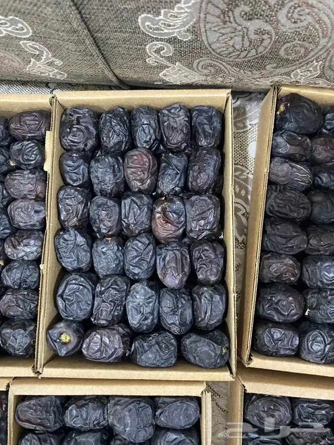 عجوة المدينه 12