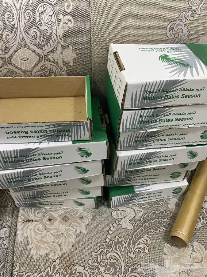 عجوة المدينه 13