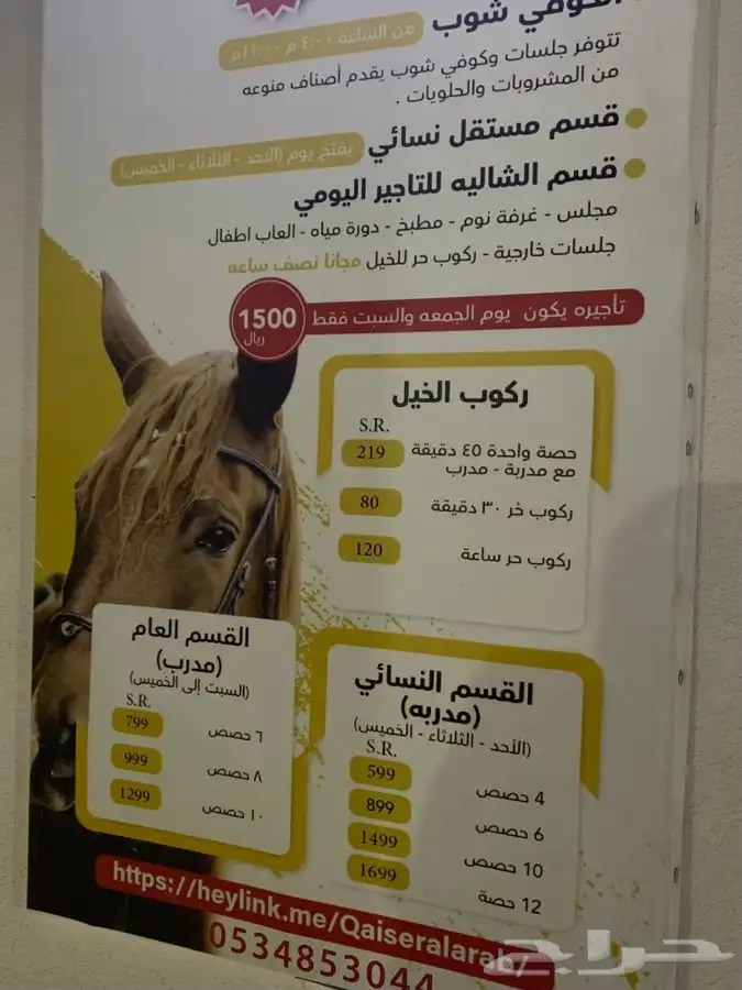 دورات تعليم ركوب الخيل 31
