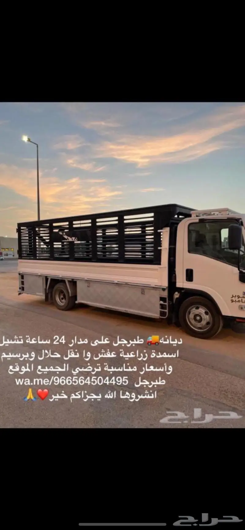 ديانا توصيل   مكالمه ولأ واتساب 0