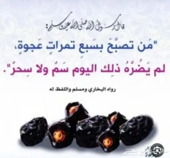 عجوة المدينه 14