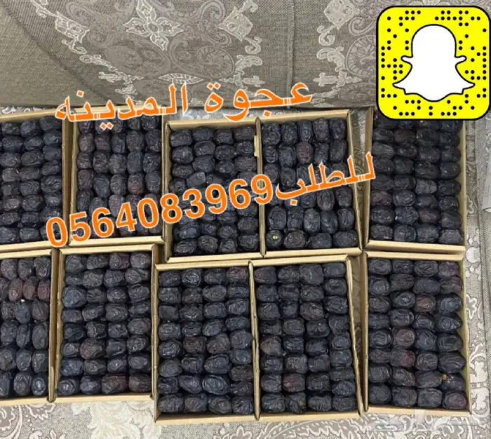 عجوة المدينه 11