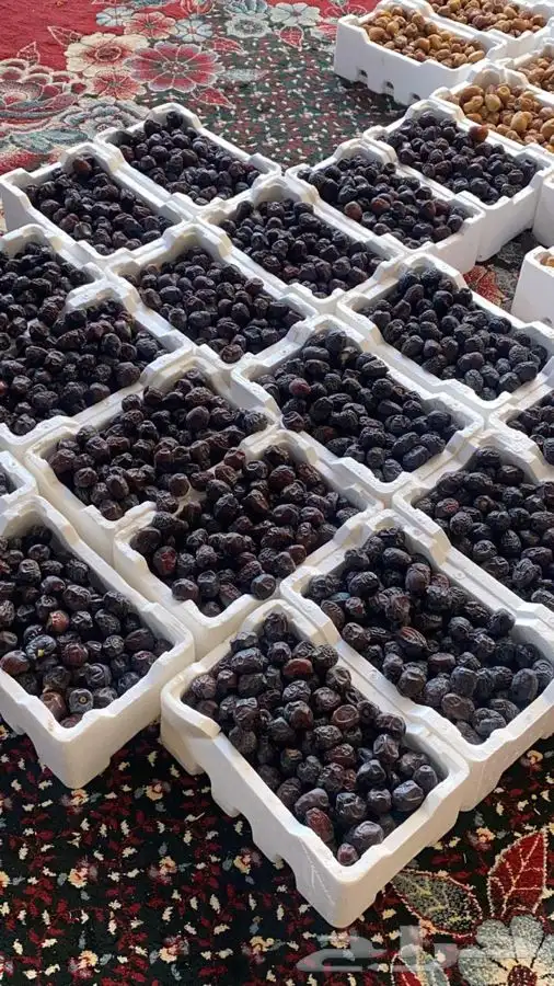 عجوة المدينه 17