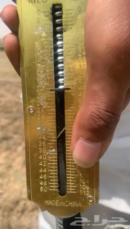 علف بلوبنك 9