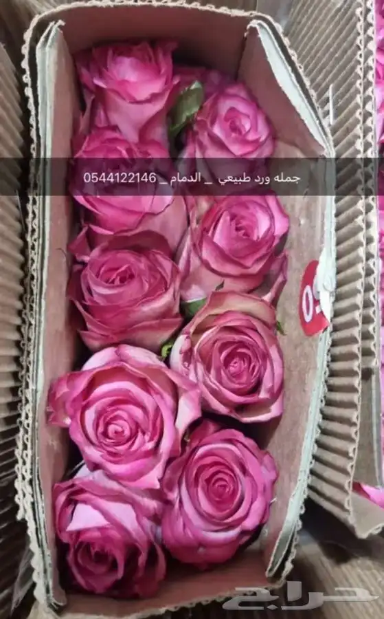 ورد طبيعي جمله فرررش 13