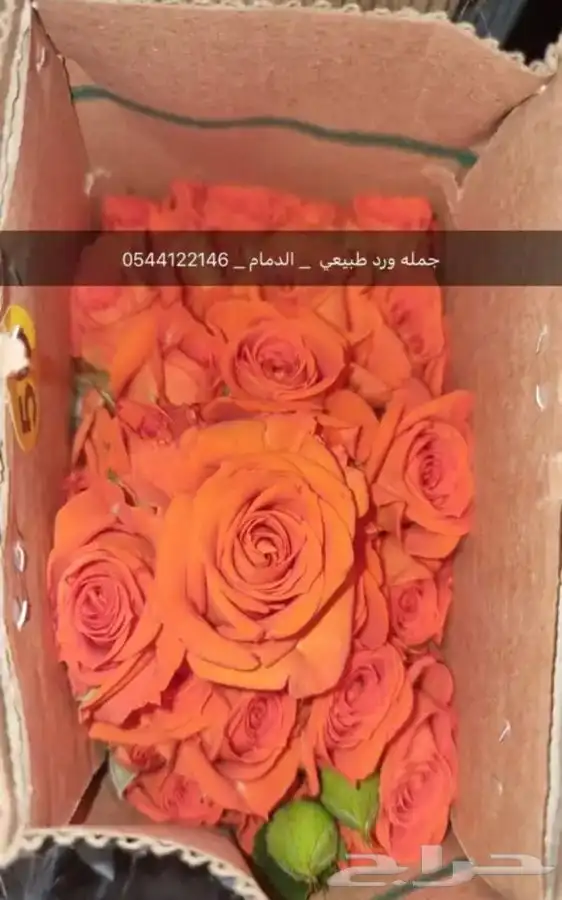 ورد طبيعي جمله فرررش 4