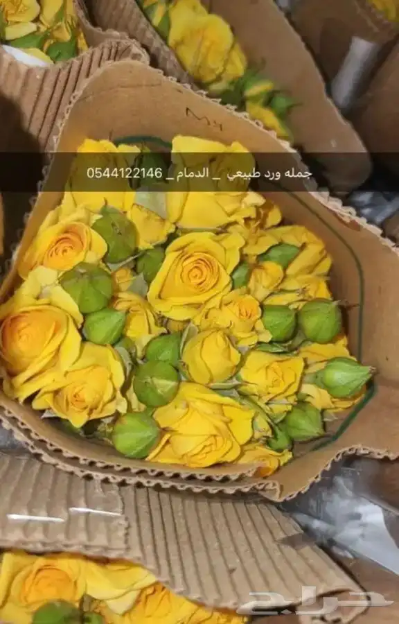 ورد طبيعي جمله فرررش 6