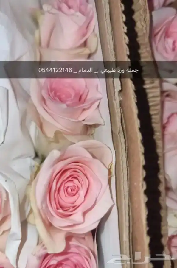 ورد طبيعي جمله فرررش 11