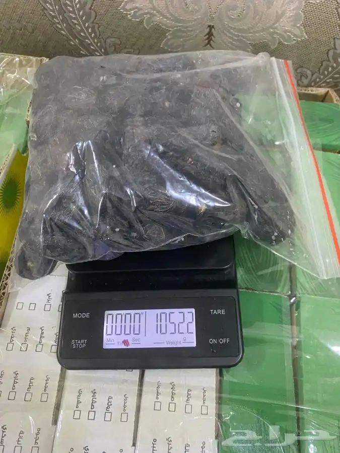 عجوة المدينه 19