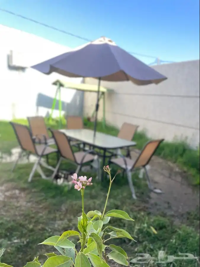 عرض خاص شاليه للايجار بالساعات او اليوم350 0