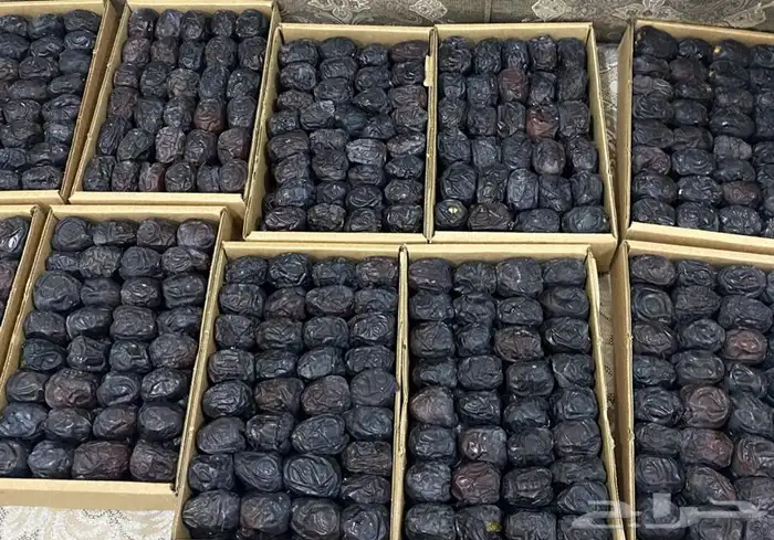 عجوة المدينه 18