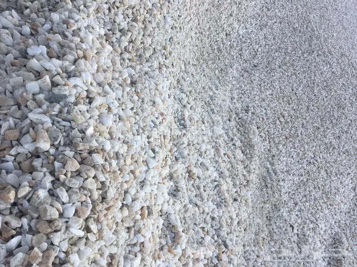 خرسان ابيض 3