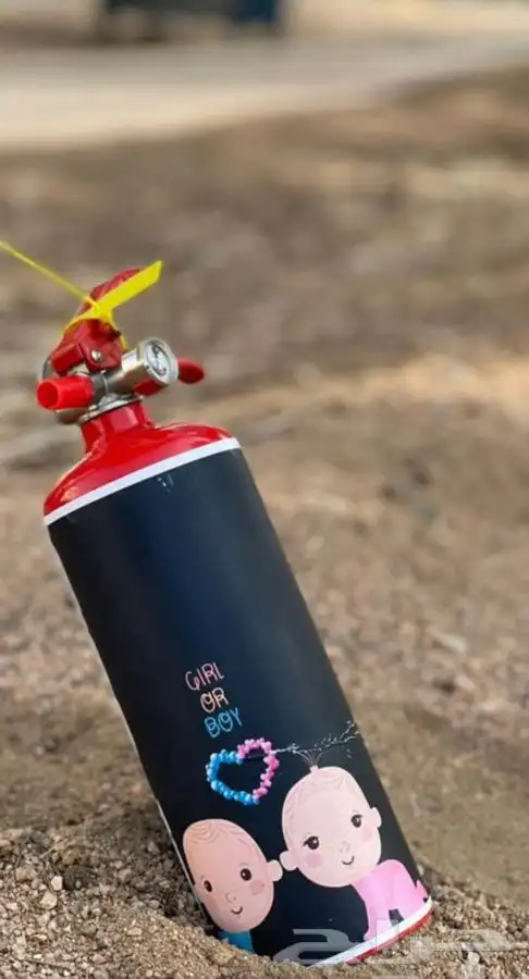 تحديد الجنين 1