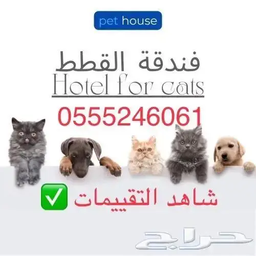 فندقة قطط وطيور - وقت سفرك 0