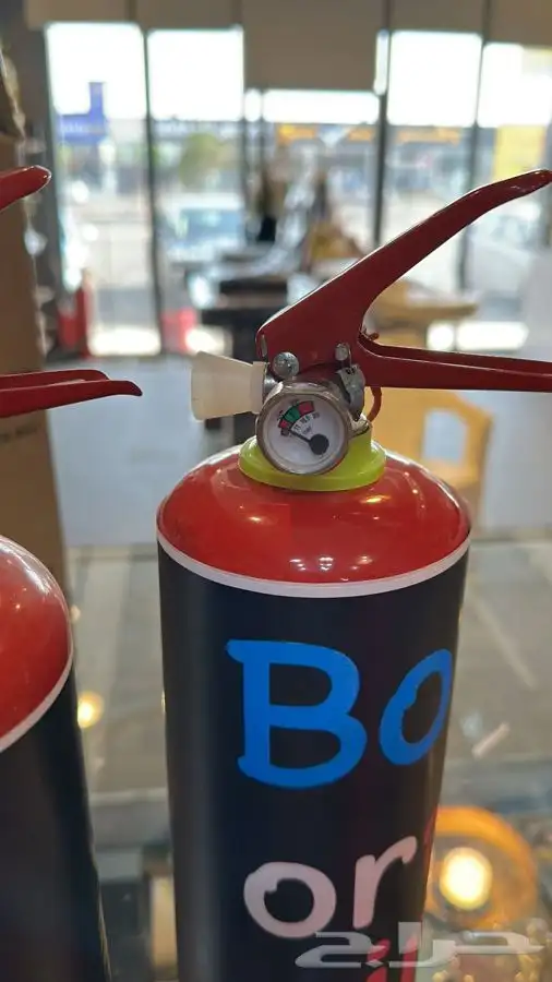 تحديد الجنين 2