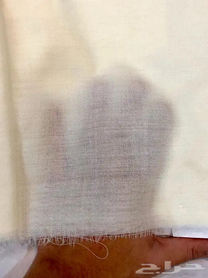 شمغ ترمة كشميرية سعر تصفية 18