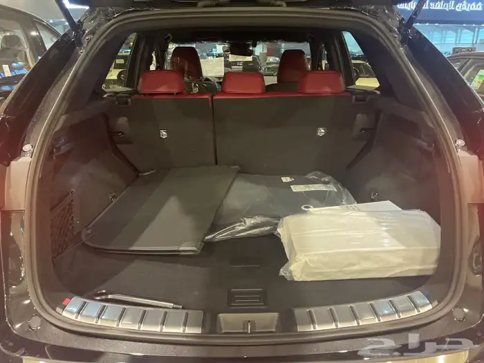 لكزس NX350 استاندر بنزين 2026 4