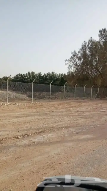 سياج شبوك 2