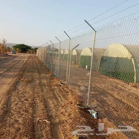 سياج شبوك 1