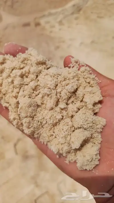 بطحاء الرياض و تيما طرطشه بطحه نا يم 3