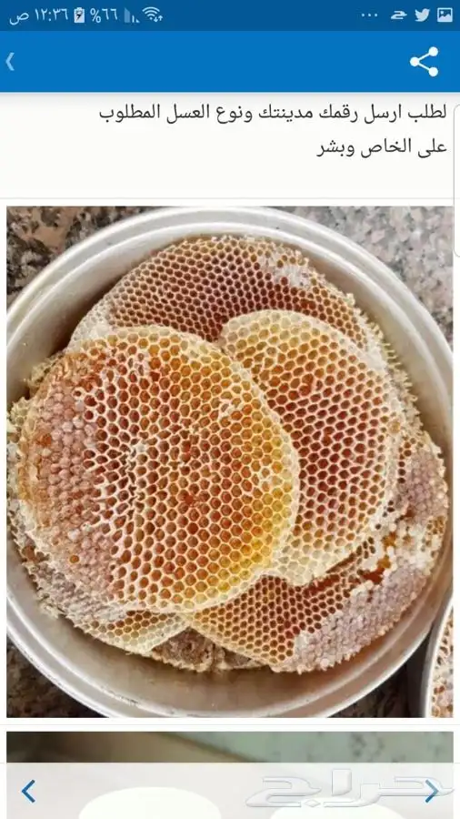 عسل السدره الجبلي وعسل سمر وعسل غذاء الملكات وطلحه 9