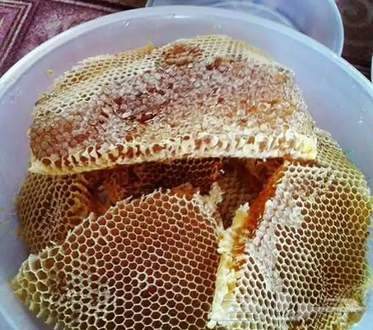 عسل السدره الجبلي وعسل سمر وعسل غذاء الملكات وطلحه 7