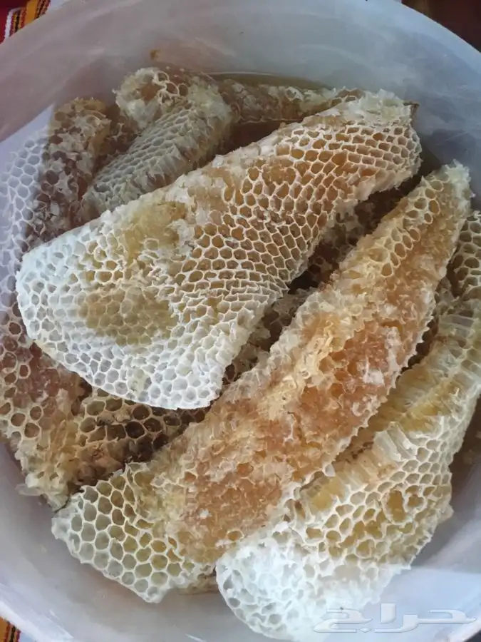 عسل السدره الجبلي وعسل سمر وعسل غذاء الملكات وطلحه 1
