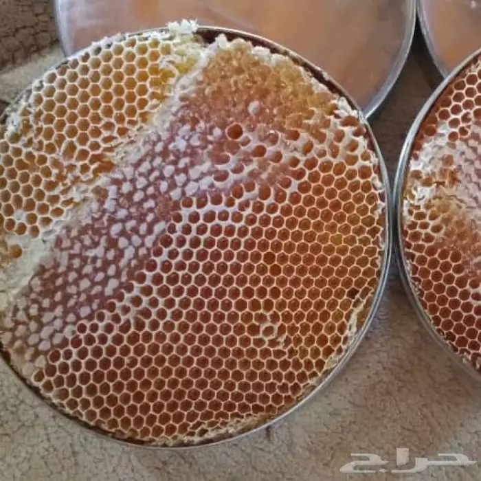 شمع عسل السدر الحضرمي 2