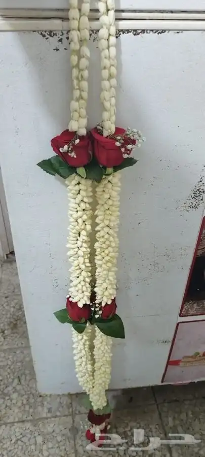 فل عرسان تواصل واتس اب 1