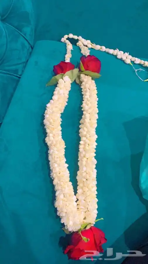 عقود فل 1