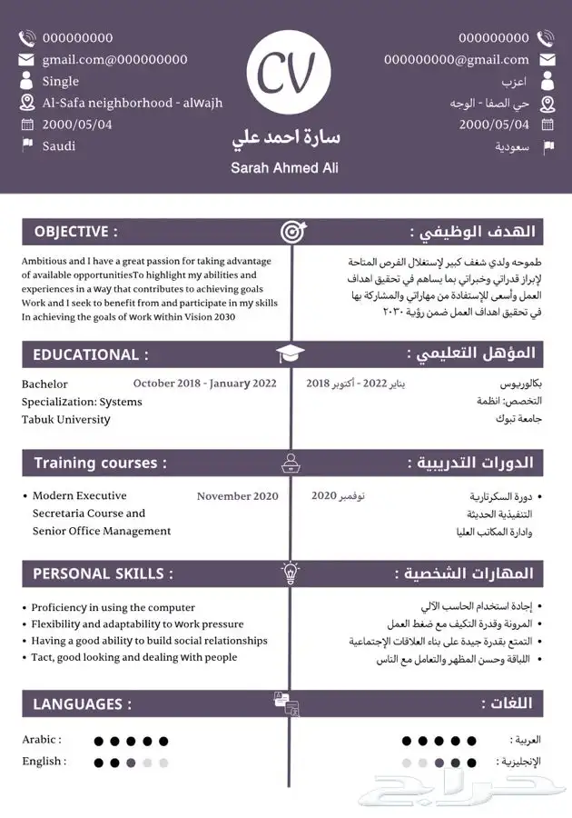 سيرة ذاتية 3