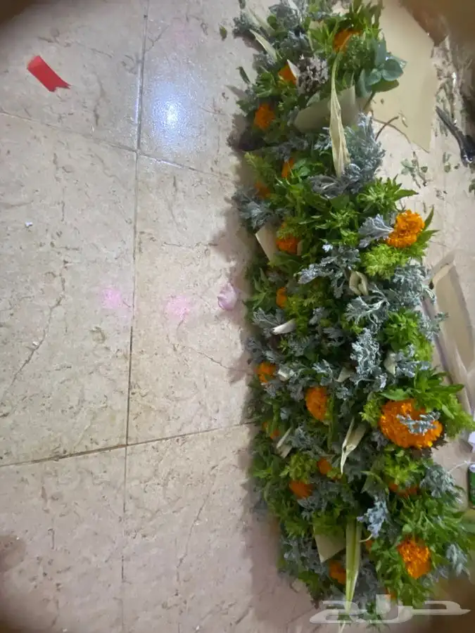 توزيعات وسلات خطور مشكله تواصل واتس 2