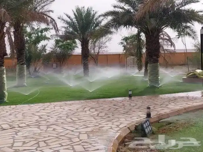 تركيب الثيل الطبيعي C2000 الدرجة الأولى 0