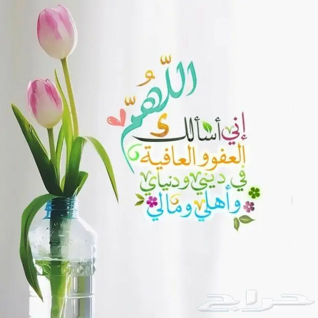 سبحة عنبر الحوت الطبيعي 34