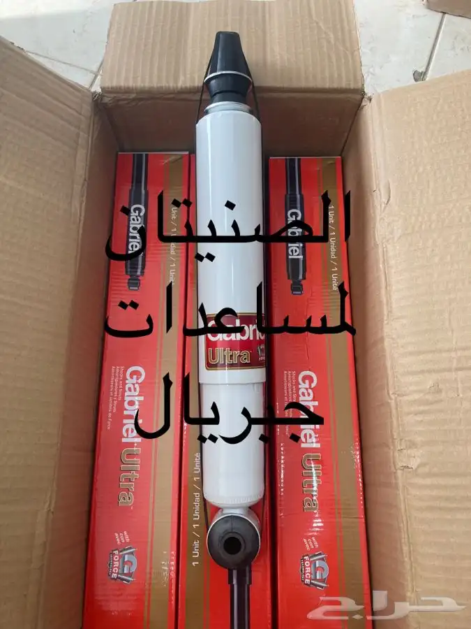 مساعدات جبريال باجيرو 1