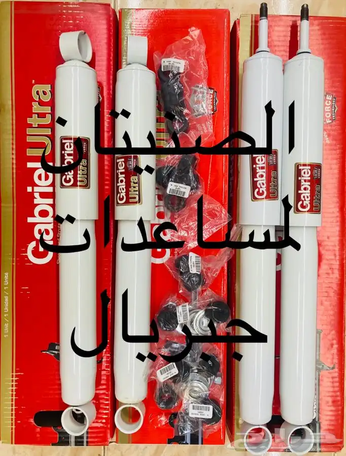 مساعدات جبريال دينا ايسوزو 0