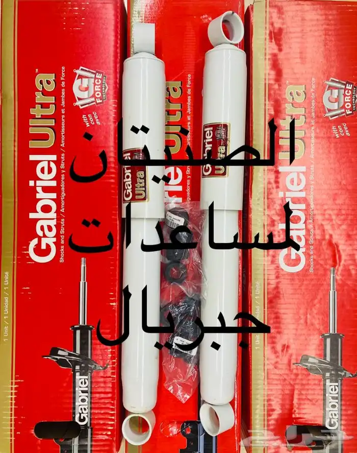 مساعدات جبريال دينا ايسوزو 1