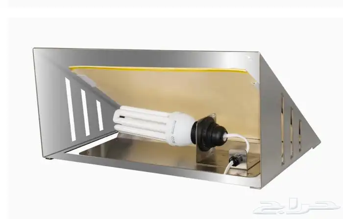 مصيدة حشرات 1