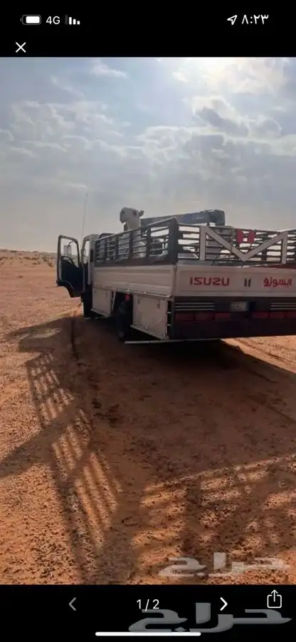 دنه دينه شخيب المزاحمية وضواحيها لنقل الابل وغيرها 0