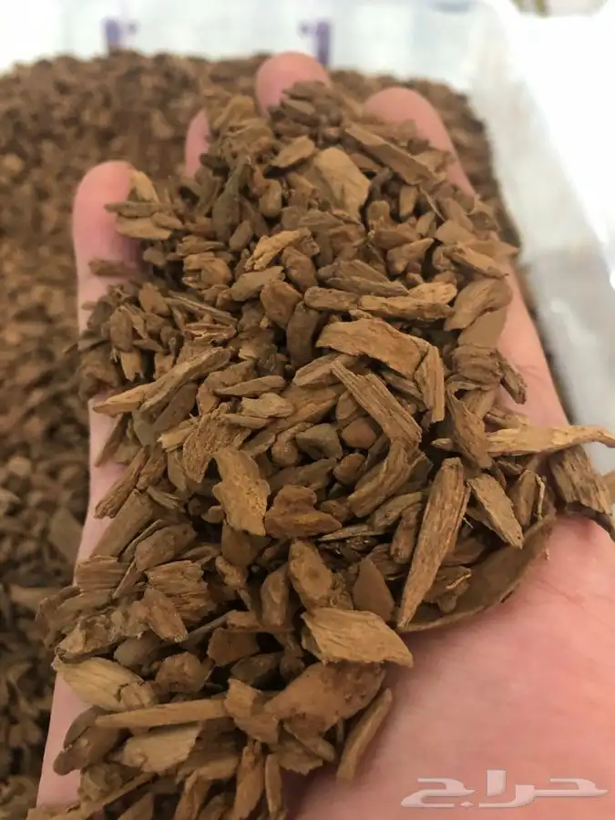 عود موروكي اصقون طبيعي 3