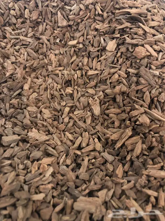 عود موروكي اصقون طبيعي 4