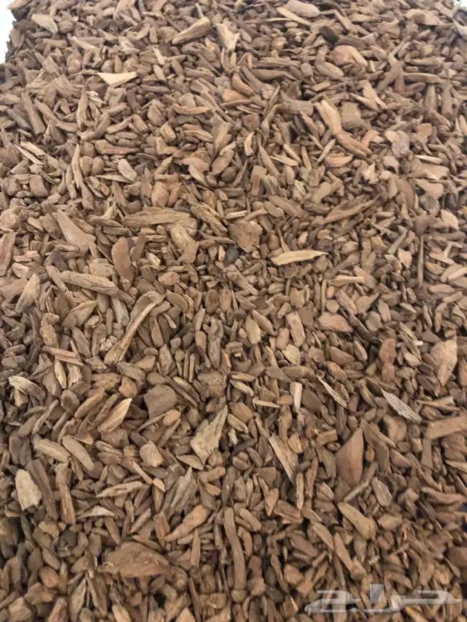 عود موروكي اصقون طبيعي 0